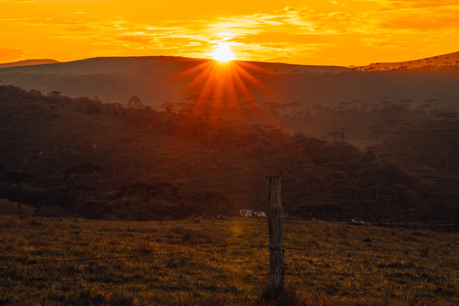 Pôr do sol nos Campos de Cima da Serra
