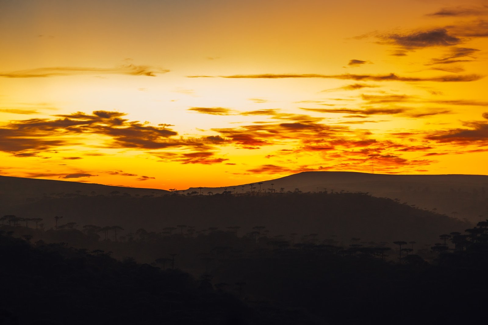 Pôr do sol nos Campos de Cima da Serra